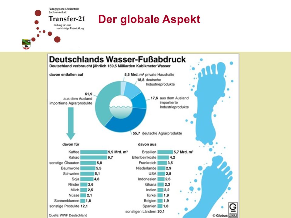 Gut sechs Millionen Tonnen Palmöl importieren die EU-Länder pro Jahr, Deutschland mehr als eine Million Tonnen. Das tropische Öl steckt in vielen Lebensmitteln, Reinigungs- und Kosmetikprodukten sowie als Biosprit im Dieselkraftstoff.